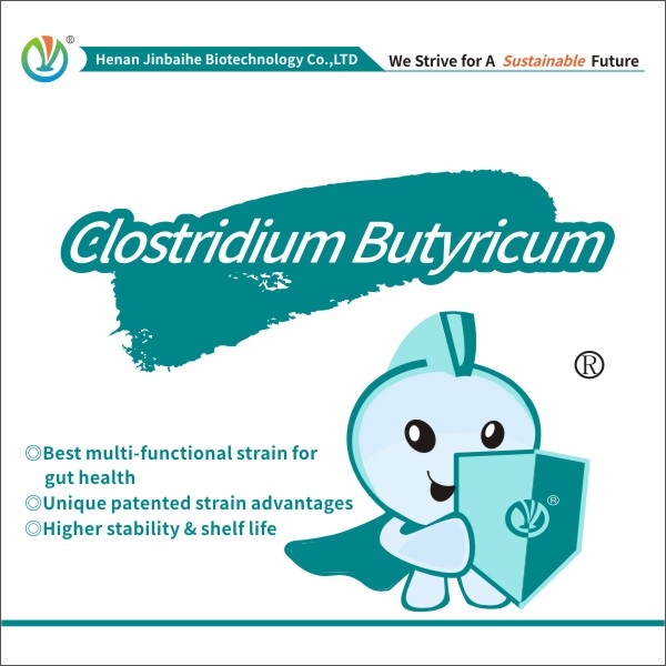  Clostridium Butyricum